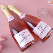 伴娘迷你香槟标签 10 套 伴娘求婚，我不能说没有你，你愿意做我的伴娘吗，询问新娘派对伴郎酒贴纸新娘部落标签