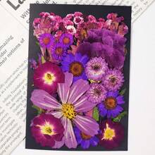 1 confezione/6 confezioni di fiori secchi per resina, fiori pressati, kit di erbe secche sfuse per scrapbooking fai-da-te, stampi per gioielli in resina epossidica, candele, sapone, decorazione unghie, accessori fai-da-te per regali artigianali