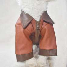 Dog/Cat Clothes For Spring, Autumn & Winter, Suitable For Schnauzer, Poodle, British Shorthair, Pomeranian & Other Small/Medium Breed