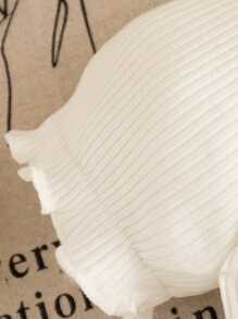 Set da 2 pezzi per bambina in estate: body con volant e bloomer con stampa leopardata