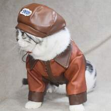 Dog/Cat Clothes For Spring, Autumn & Winter, Suitable For Schnauzer, Poodle, British Shorthair, Pomeranian & Other Small/Medium Breed