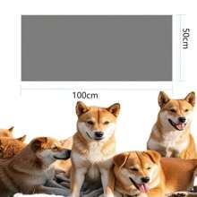 1 件超强吸水猫/狗爱好者礼物和狗/猫妈妈爱宠物美容毛巾，柔软珊瑚绒速干毛巾，猫/狗爱好者礼物和狗/猫妈妈爱宠物沐浴淋浴毛巾，适合狗爱好者和狗妈妈爱和猫爱好者和猫妈妈爱