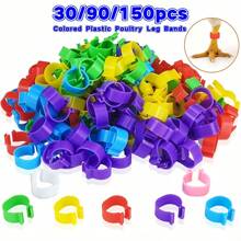 30/90/150 pezzi Anelli colorati per zampe di pollo, fasce in plastica per zampe di pollame, fibbie per zampe di polli, anatre, oche, tacchini - senza batteria necessaria, etichette di identificazione facili da usare