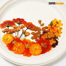 1 confezione/6 confezioni di fiori secchi per resina, fiori pressati, kit di erbe secche sfuse per scrapbooking fai-da-te, stampi per gioielli in resina epossidica, candele, sapone, decorazione unghie, accessori fai-da-te per regali artigianali