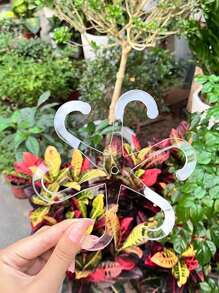 4pcs Adjustable Plant Support Clips - Sturdy Transparent & Green Vine Trellis For Upright Growth, Secure Stem Holders With Easy Installation And Reusable Design