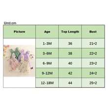 Toddler Baby Girl Halloween Fairy Costume Butterfly Wing Tulle Fairy Romper Dress Birthday Tutu Dress Princess Dress - 綠色 - 查看 9