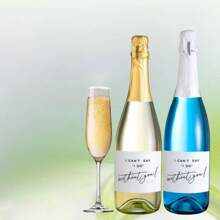 伴娘迷你香槟标签 10 套 伴娘求婚，我不能说没有你，你愿意做我的伴娘吗，询问新娘派对伴郎酒贴纸新娘部落标签