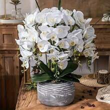 6 piezas de Flores de Orquídea Phalaenopsis Artificial, de unicolor, decoración multiusos simple y práctica