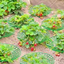 Strawberry Stands With 3 Sturdy Legs, Growing Racks, Protector Frame, Cage Holder, Mold, Rot Dirt, 5pcs 10Pcs