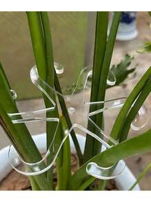 4pcs Adjustable Plant Support Clips - Sturdy Transparent & Green Vine Trellis For Upright Growth, Secure Stem Holders With Easy Installation And Reusable Design