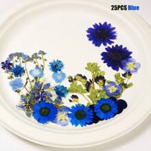 1 confezione/6 confezioni di fiori secchi per resina, fiori pressati, kit di erbe secche sfuse per scrapbooking fai-da-te, stampi per gioielli in resina epossidica, candele, sapone, decorazione unghie, accessori fai-da-te per regali artigianali