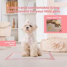 超吸水 20 片宠物训练垫快干芯，防漏、防臭 | 透气无纺布顶部，防滑背衬，蓝色/粉色/图案设计 | 小狗/狗/猫尿垫，适用于板条箱、旅行和室内使用 - 彩色 - 查看 5