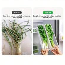 PE Material Long Plastic Fresh-Keeping Vegetable Storage Containers - Sealed Refrigerator Organizer Boxes For Cilantro, Green Onions, Mint - Kitchen Organization Without Battery - White - View 5