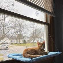 1pc Cat Window Perch Hammock, Sturdy Suction Cup Cat Bed, Sunlight Rest Chair Suitable For Indoor Cats, Space Saving Window Installation Cat Bed