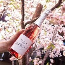 伴娘迷你香槟标签 10 套 伴娘求婚，我不能说没有你，你愿意做我的伴娘吗，询问新娘派对伴郎酒贴纸新娘部落标签