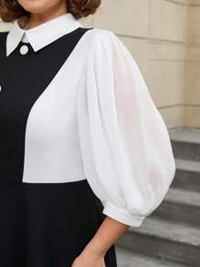 AOMEI Vintage Style Plus Size Dresses A Line Black White Color Block Lantern Sleeves Button Peter Pan Collar - Black - View 6