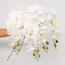 6 piezas de Flores de Orquídea Phalaenopsis Artificial, de unicolor, decoración multiusos simple y práctica