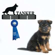 Pet Award Medal Hanger Monogram - 12 Rungs For Medals & Ribbons, Metal Sign, Art, Wall Decor Gifts Birthday Graduation