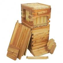 ,Mini Auto Beehive Starter Kit Cedarwood Bee Box Self-Flowing Honey Design Flow Beehive Bee Hive Boxes - 1 - Xem 5