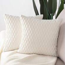 2pcs Set Super Soft Velvet Decorative Throw Pillow Covers, Square, Luxurious Texture, Cushion Covers For Sofa, Bedroom