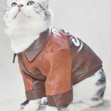 Dog/Cat Clothes For Spring, Autumn & Winter, Suitable For Schnauzer, Poodle, British Shorthair, Pomeranian & Other Small/Medium Breed