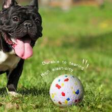 1pc ETPU High Elastic Chew Ball Tooth Grinding Dog Lover And Dog Mom Love Toy, Bite Resistant
