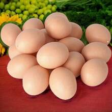 3/6 件鸡舍小假鸡蛋，农场动物用品笼子配件，鸡窝指南，鸡蛋装饰，塑料假鸡蛋，用于 DIY 工艺品、绘画和装饰 - 逼真的仿真鸡蛋