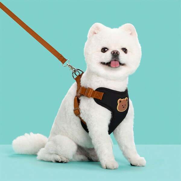 Cute Bear Pet Harness Leash Set Dog Vest Harness Strap Adjustable Breathable Harness For Puppy Cat Dog Supplies Harness & Foldable Bowl Bundle: On-The-Go Feeding & Walking Solution