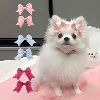 2 件装宠物可爱经典纯色蝴蝶结优雅宠物发饰