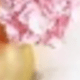 Hồng