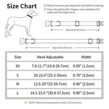 复活节主题！涤纶狗项圈，带有多色复活节彩蛋和兔子印花，有小号、中号和大号可供选择，适合公狗和母狗 - 彩色 - 查看 5