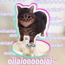 1pc Oiiaio Spinning Cat Meme Desk Decoration, Funny Novelty Stress Relief Toy - Multicolor - View 3