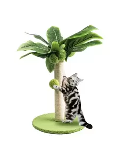 Pet Supplies 
