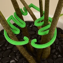 2 stuks Bloemvormige plantenstandaard, Groene plantentuingereedschap, Houdt planten verticaal groeiend, Mooi, Geschikt voor binnen- en buitengebruik