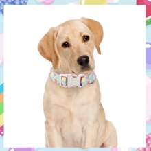 复活节主题！涤纶狗项圈，带有多色复活节彩蛋和兔子印花，有小号、中号和大号可供选择，适合公狗和母狗 - 彩色 - 查看 4