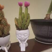 1pc Personalized Resin Doll Succulent Plant Closed Eyes Eve Plant Pot, Flower Pot Indoor Modern Decorative Plastic Plant Pot For All Houseplants, Succulents, Flowers And Cacti