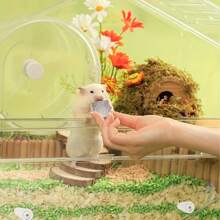 Piedras de lava natural 5 piezas - Piedras minerales para moler los dientes para hámsters, chinchillas y conejos