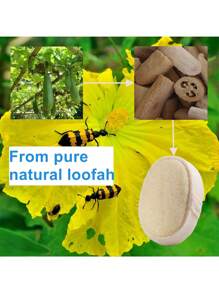 100% 丝瓜络沐浴海绵去角质沐浴露 SPA 级护肤品，适合男士或女士沐浴（1 件套）