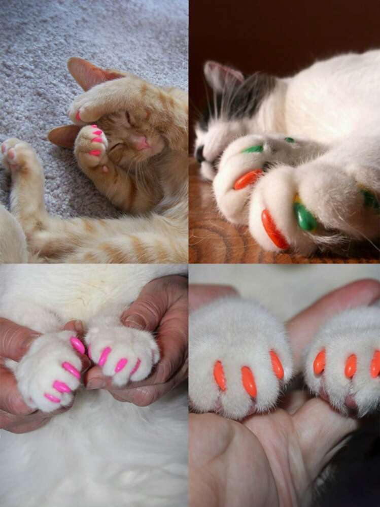 20 piezas de estuches para uñas de gato, cubierta para garras de mascota, garras anti-arañazos para gatos - Multicolor - Añade 6