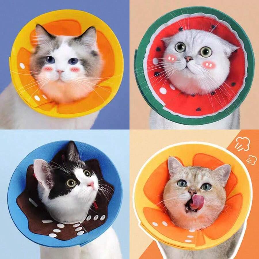 Colar de Gato Tipo Elizabete Anti-Mordida, Colar Protetor Cone Anti-Lambedura Anti-Arranhão para Tosa de Animais de Estimação, Adequado para Gatos Pequenos
