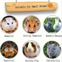 Piedras de lava natural 5 piezas - Piedras minerales para moler los dientes para hámsters, chinchillas y conejos