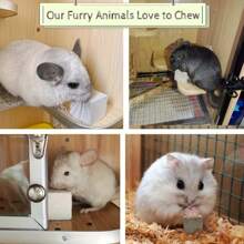 Piedras de lava natural 5 piezas - Piedras minerales para moler los dientes para hámsters, chinchillas y conejos