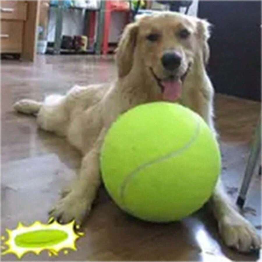1 pieza Pelota de tenis para perro rebotadora y duradera de 9.5 pulgadas para verano, apta para entrenamiento de perros pequeños a medianos, juguete deportivo para mascotas para fomentar el juego positivo y el ejercicio, se envía desinflada