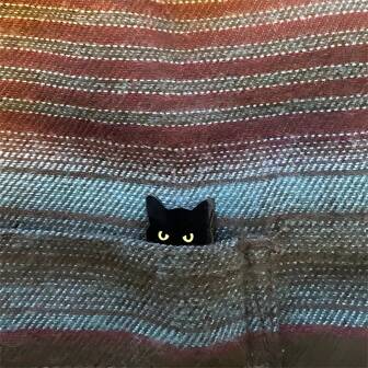 1枚时尚黑猫珐琅胸针，男女通用，卡通动物翻领别针，时尚配饰，夏季礼物，学校