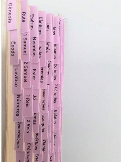 Abas Adesivas Marcador Índice Para Bíblia (Rosa) Abas Para Bíblia Evangélica, Letra Bastão