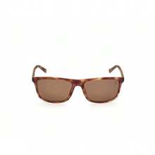Timberland Injected Men's Sunglasses
