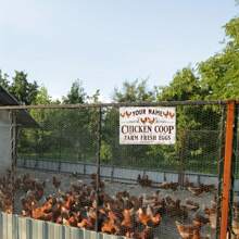 1 Letrero de metal personalizado - Diseño de granja de campo con huevos frescos, opción de nombre personalizado, resistente a arañazos y a prueba de agua, metal, 8"X12" - Ideal para decoración de patio y cerca, accesorio, moda de vuelta a la escuela