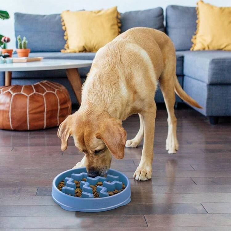 Outward Hound Large Slow Feeder Bowl, Puzzle Maze Fast Eaters, Medium To Large Dogs, Helps Prevent Bloat & Aid Digestion, Holds 4 Cups Wet Or Dry Food, Non-Slip, Made Without BPA, Turquoise - Blue - View 6