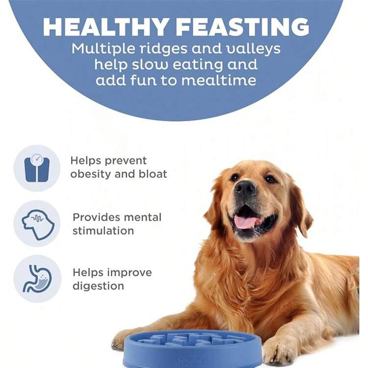 Outward Hound Large Slow Feeder Bowl, Puzzle Maze Fast Eaters, Medium To Large Dogs, Helps Prevent Bloat & Aid Digestion, Holds 4 Cups Wet Or Dry Food, Non-Slip, Made Without BPA, Turquoise - Blue - View 2