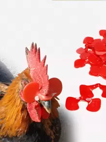 100 件装防啄鸡眼镜，中号和大号鸡眼罩，饲养鸡和野禽的设备 - 紅色 - 查看 1